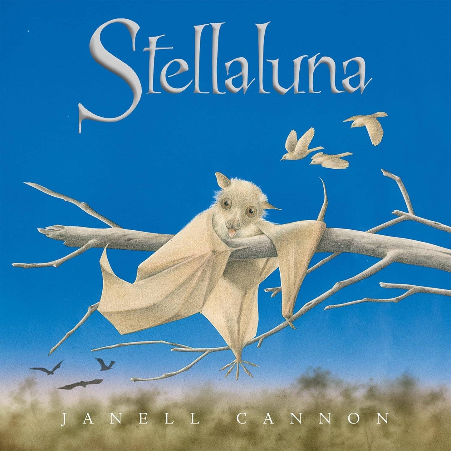 Stellaluna Board Book