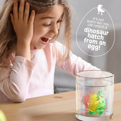 Dinosaur Hatching Surprise Eggs (6 Pack)