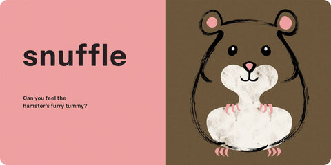 Spring Street Touch and Feel: Pets by Boxer Books