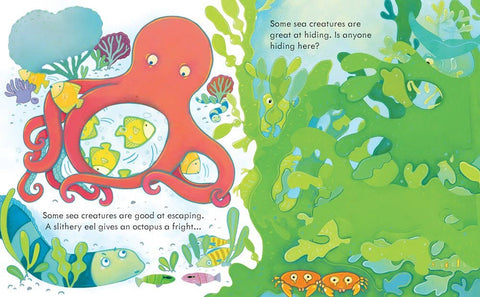 Peek Inside the Sea Board Book