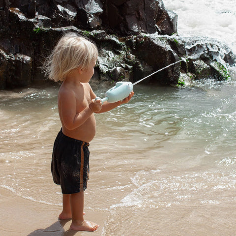 Water Squirters - Shark