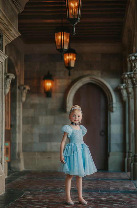 Cinderella Twirl Dress