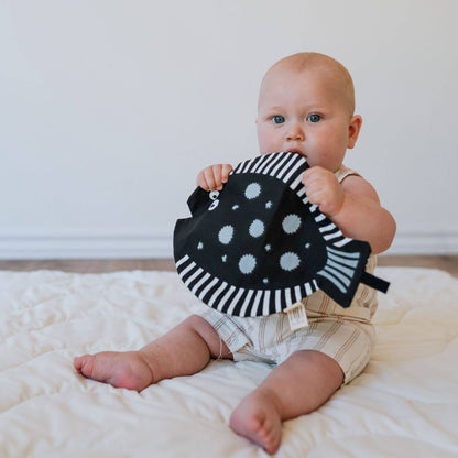 Organic Crinkle Toy - Fish