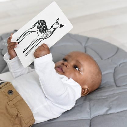 Art Cards for Baby - Baby Animals