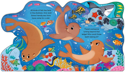 Who's in the Ocean Today? Board Book