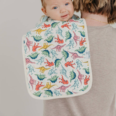 Burp Cloth Set - Jurassic Park
