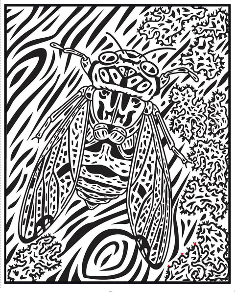 Magic Painting Book: Bugs