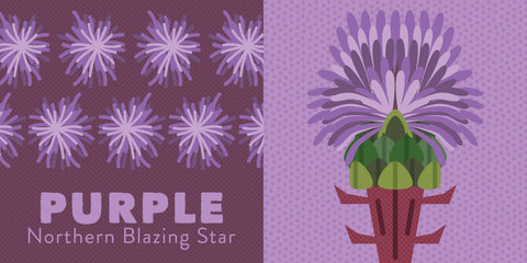 Colors of New England