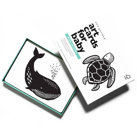 Art Cards for Baby - Ocean Animals