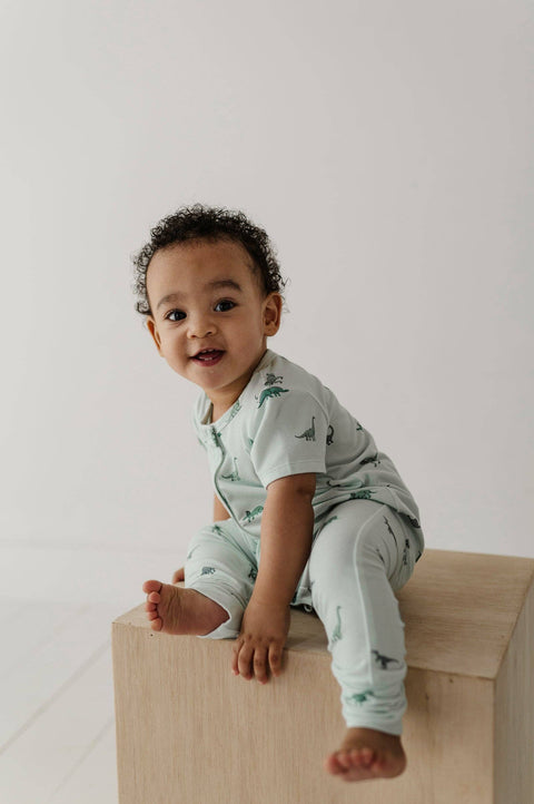 Short Sleeve Henley Romper in Dinosaur