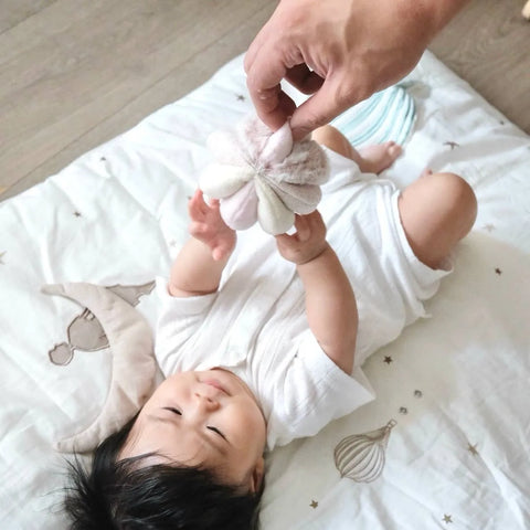 Montessori Rattle Sensory Ball