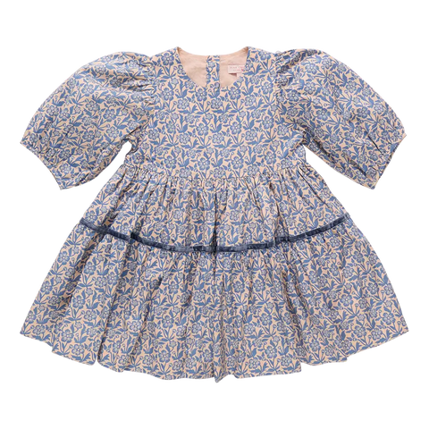 Girls Maribelle Dress - Blue Climbing Floral