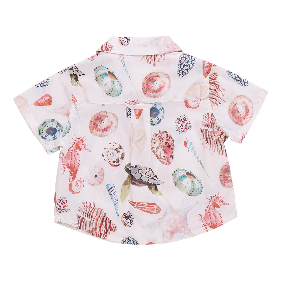 Boys Jack Shirt - Watercolor Shells