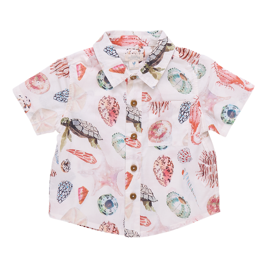 Boys Jack Shirt - Watercolor Shells