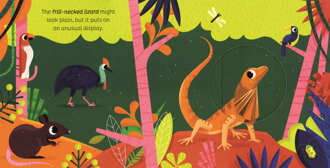 Animal Magic: In the Jungle Book - EDC Publishing