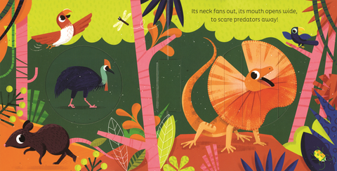 Animal Magic: In the Jungle Book - EDC Publishing