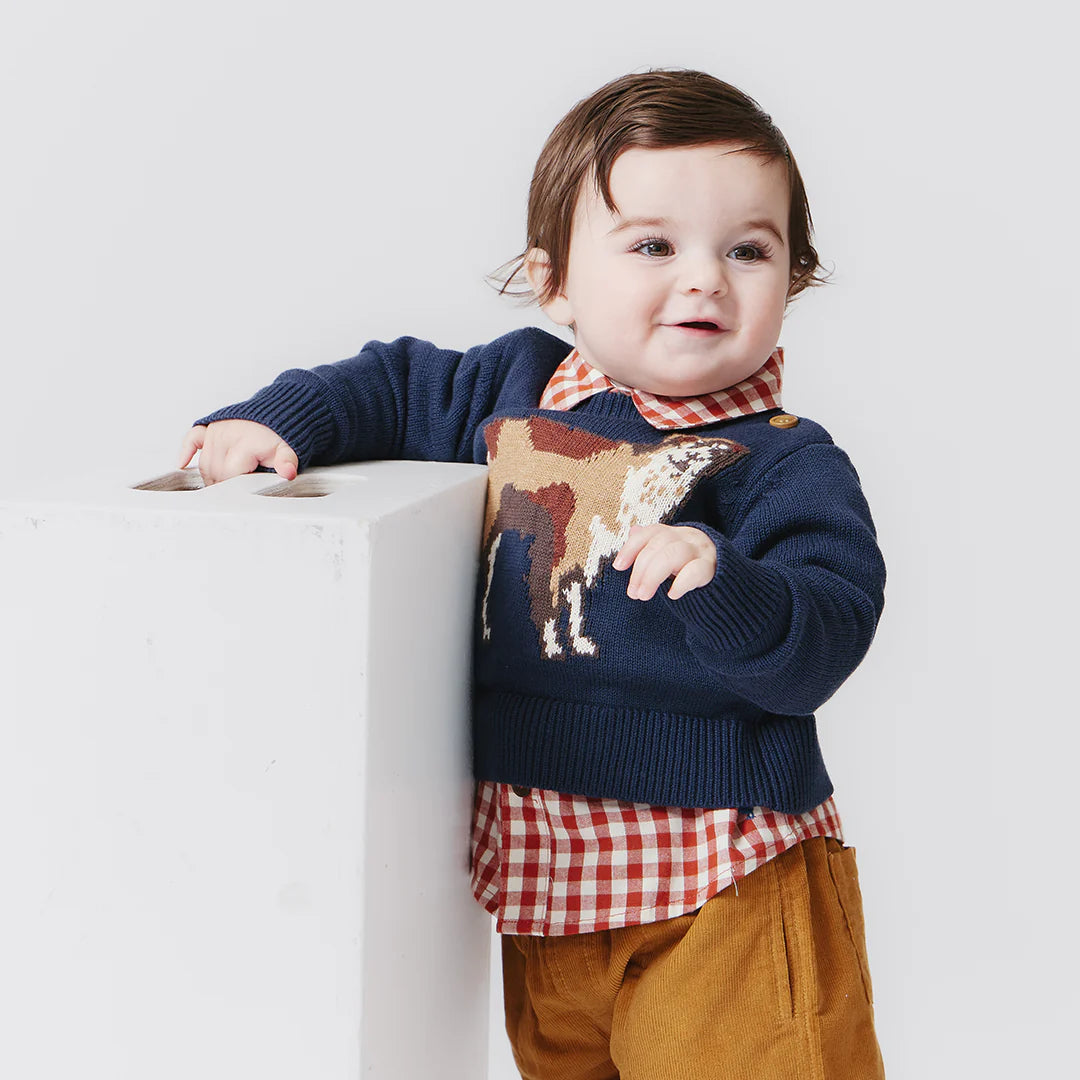 Baby Boys Jack Shirt - Pony Gingham - Pink Chicken