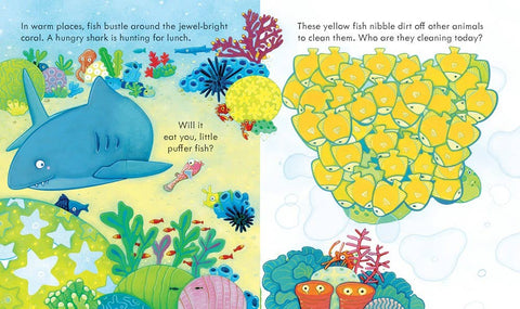 Peek Inside the Sea Board Book
