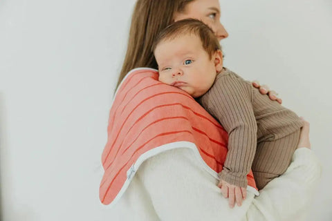 Burp Cloth Set - Farmstead - Copper Pearl