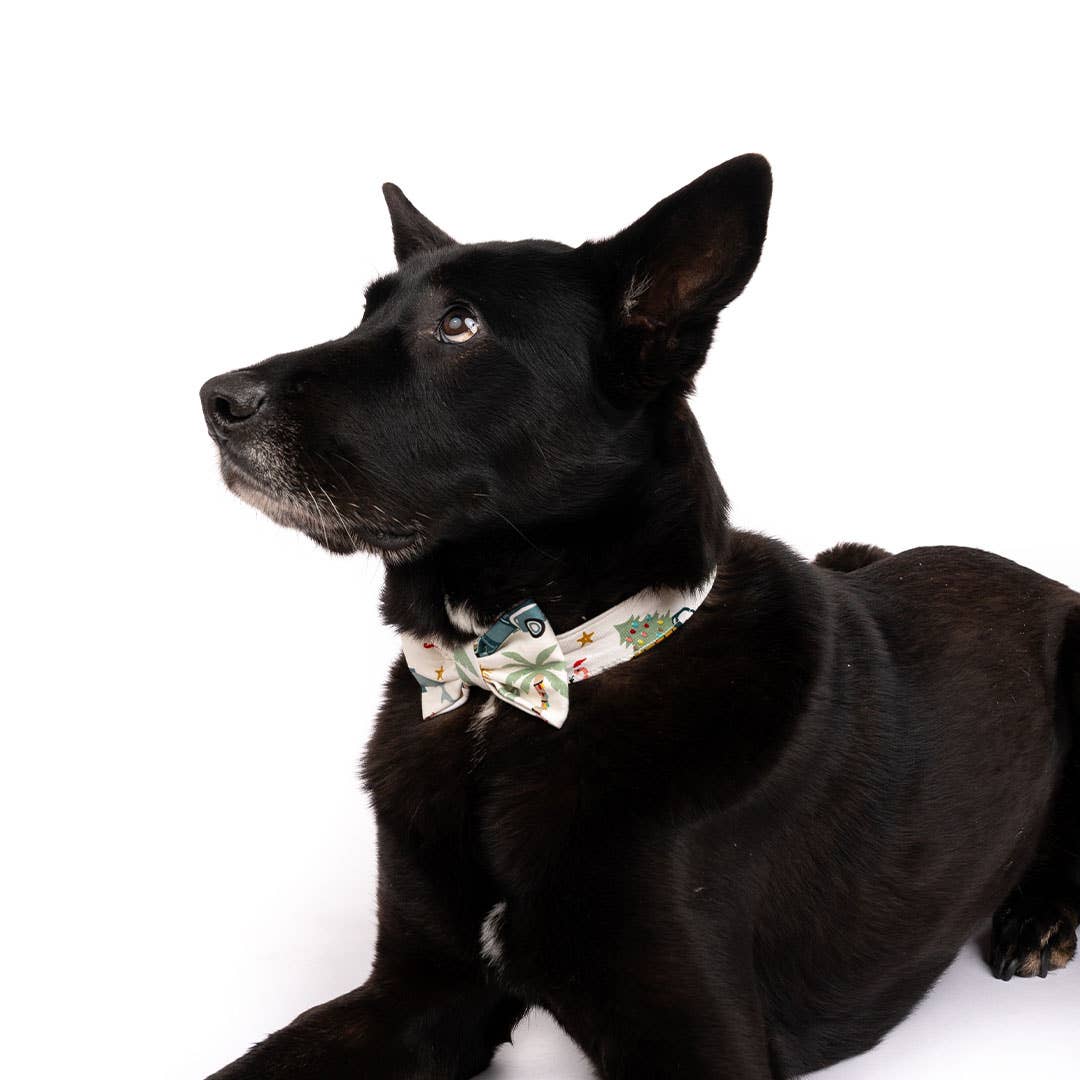 Coastal Christmas Pet Bow Tie - Emerson and Friends