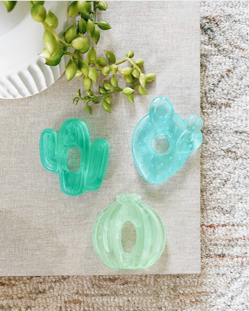 Cutie Coolers™ Water Filled Teethers (3-pack): Cactus - Itzy Ritzy