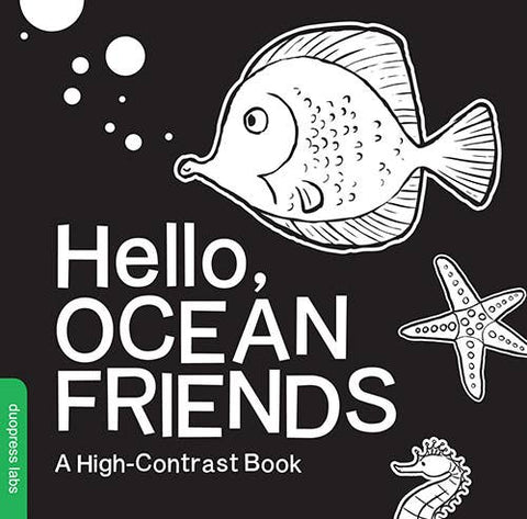 Hello, Ocean Friends Book