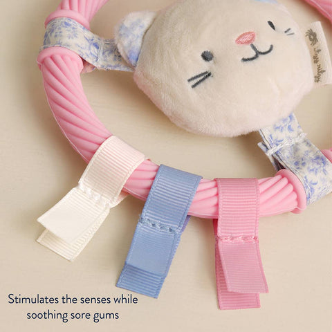 Itzy Ring Pal™ - Teething Ring with Plush Character: Red Tomato