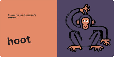 Spring Street Touch and Feel: Wild by Boxer Books