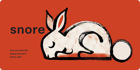 Spring Street Touch and Feel: Pets by Boxer Books