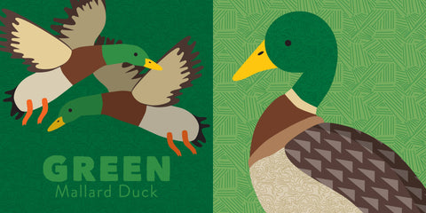 Colors of New England