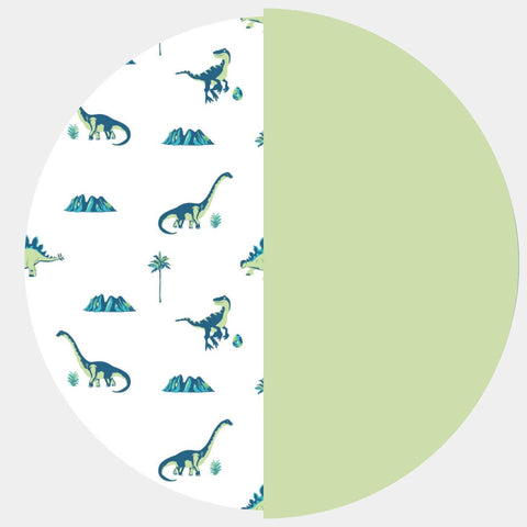 Kids Bamboo Tee Shirt - Dinosaurs