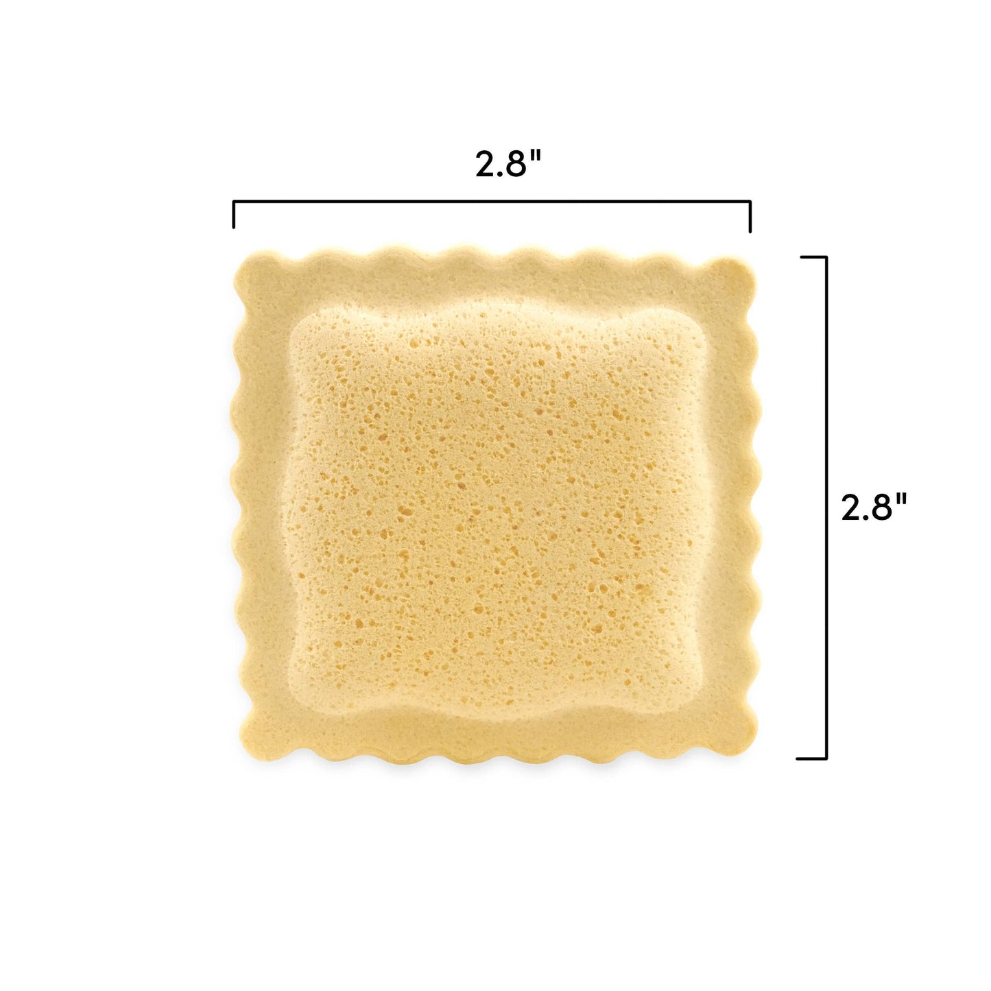 Ravioli Sponges (Set of 6) - Fred & Friends