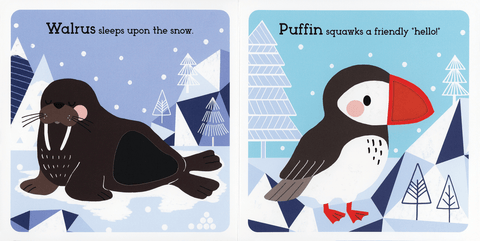 Read, Touch, Discover Arctic Animals Book - EDC Publishing