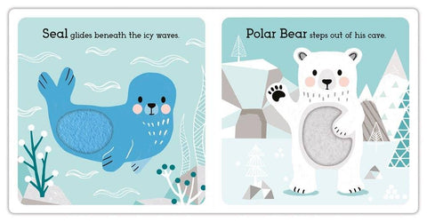 Read, Touch, Discover Arctic Animals Book - EDC Publishing