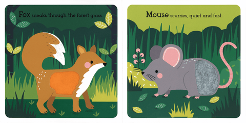 Read, Touch, Discover Wonderful Wildlife Book - EDC Publishing