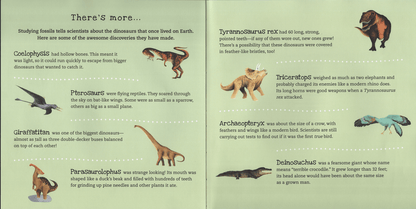 Shine-A-Light: Dinosaurs Book - EDC Publishing