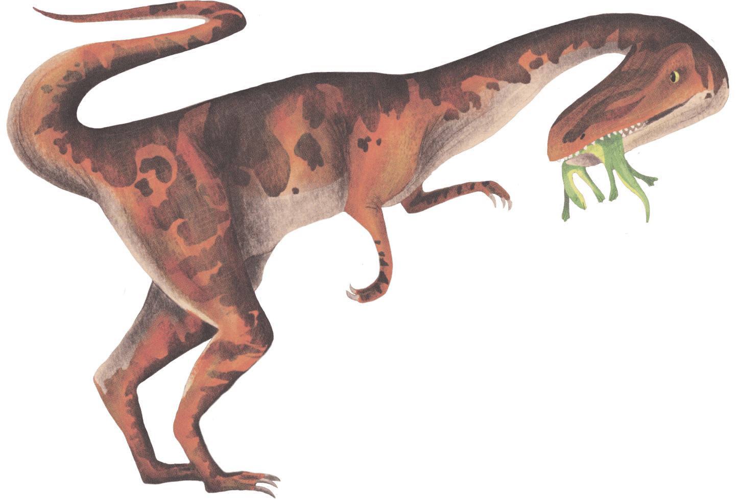 Shine-A-Light: Dinosaurs Book - EDC Publishing