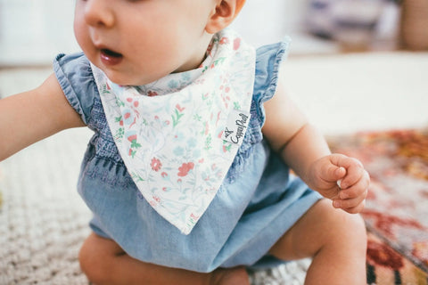Baby Bandana Bibs - Claire - Butterbugboutique