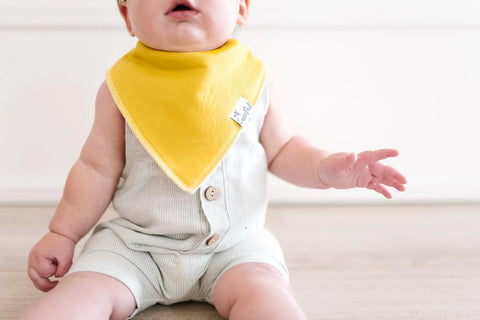 Baby Bandana Bibs - Stone - Copper Pearl