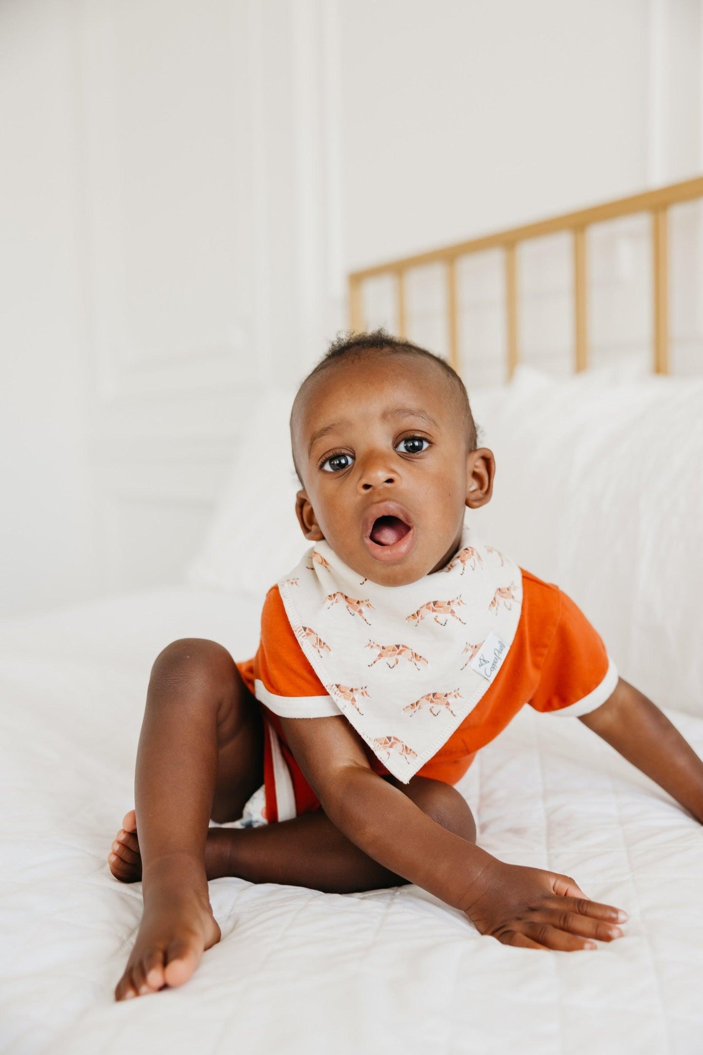 Baby Bandana Bibs - Swift - Copper Pearl