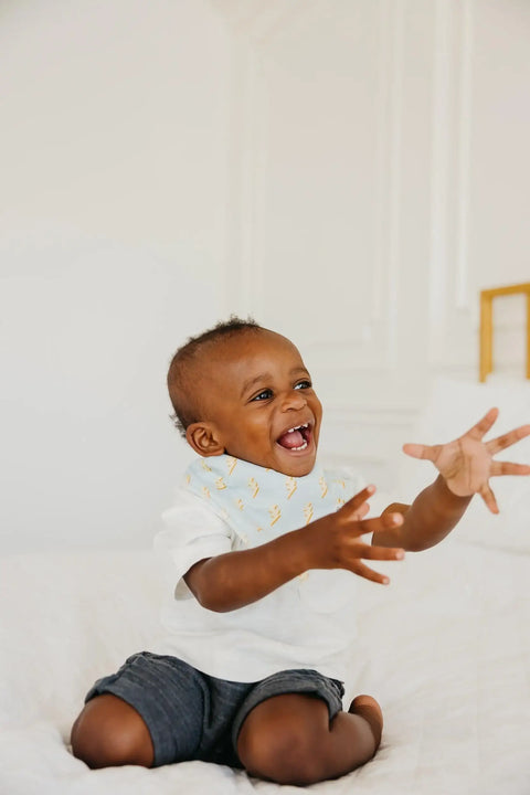 Baby Bandana Bibs - Vance - Butterbugboutique