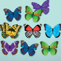 Butterflies Shaped Memory Match - Mudpuppy
